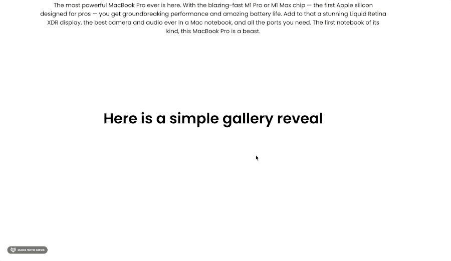 gallery-reveal.gif